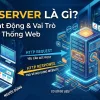 Web Server là gì? Cách hoạt động và vai trò trong hệ thống web